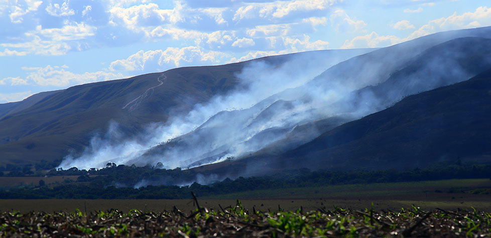 O impacto humano sobre o meio ambiente