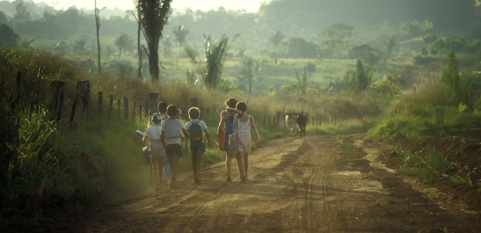 O colapso da biodiversidade