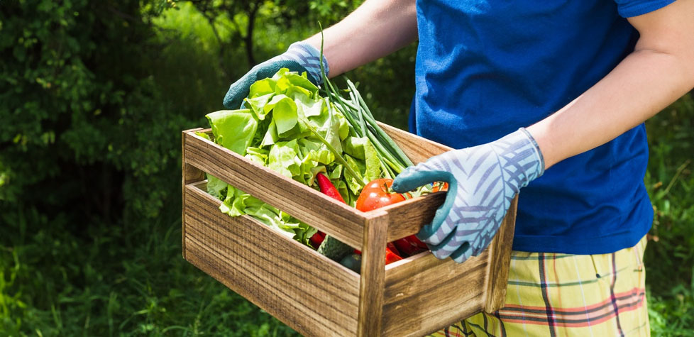 Produtos da agricultura familiar podem melhorar com a Indicação Geográfica (IG)