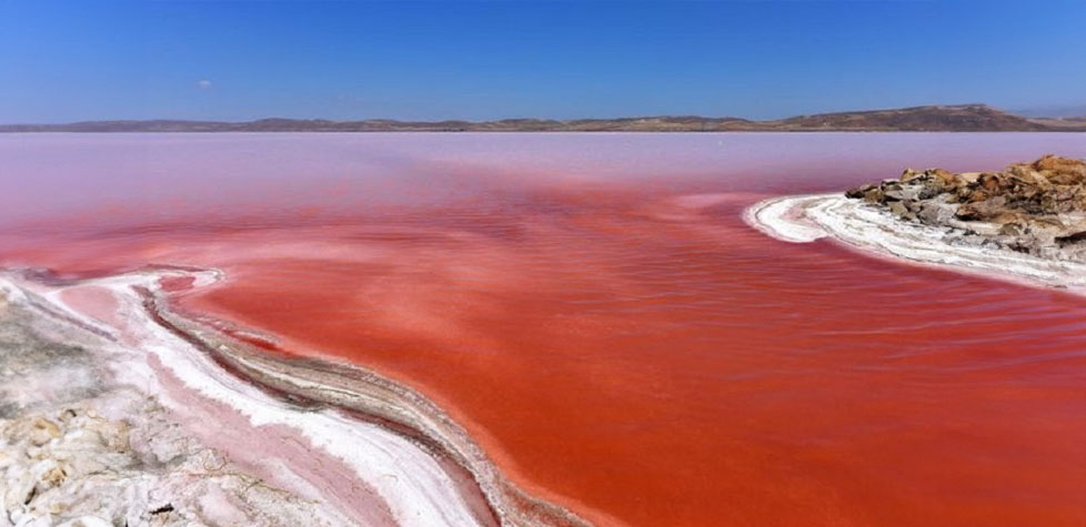 Como sair do oceano vermelho da competição? Ouça o seu cliente