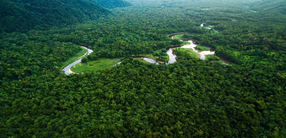 A cobiça pelo bioma e pelas riquezas minerais da Amazônia