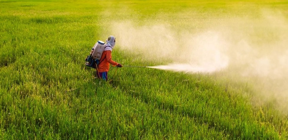 Os dois inimigos da humanidade e a agrointoxicação