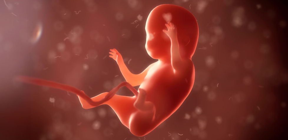 Tecnologia quântica permite monitoramento não invasivo de atividade cardíaca fetal