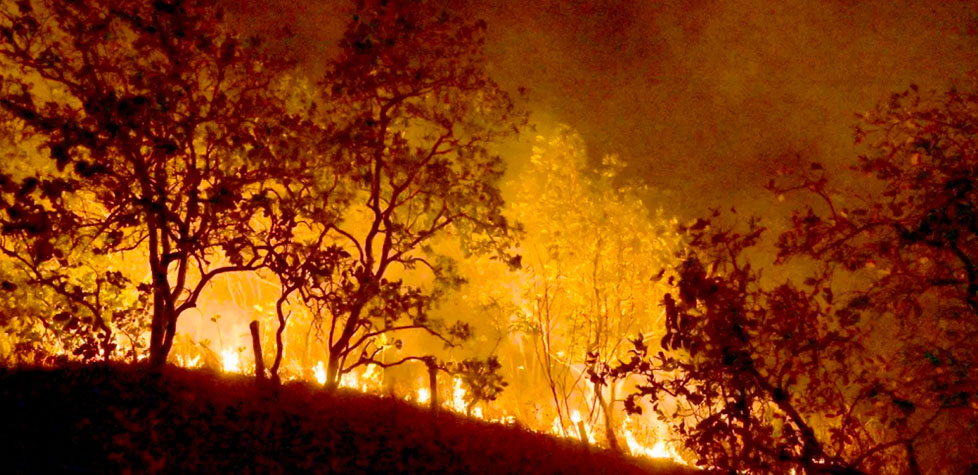 Os aspectos de um plano de proteção contra incêndios florestais (PPCIF)